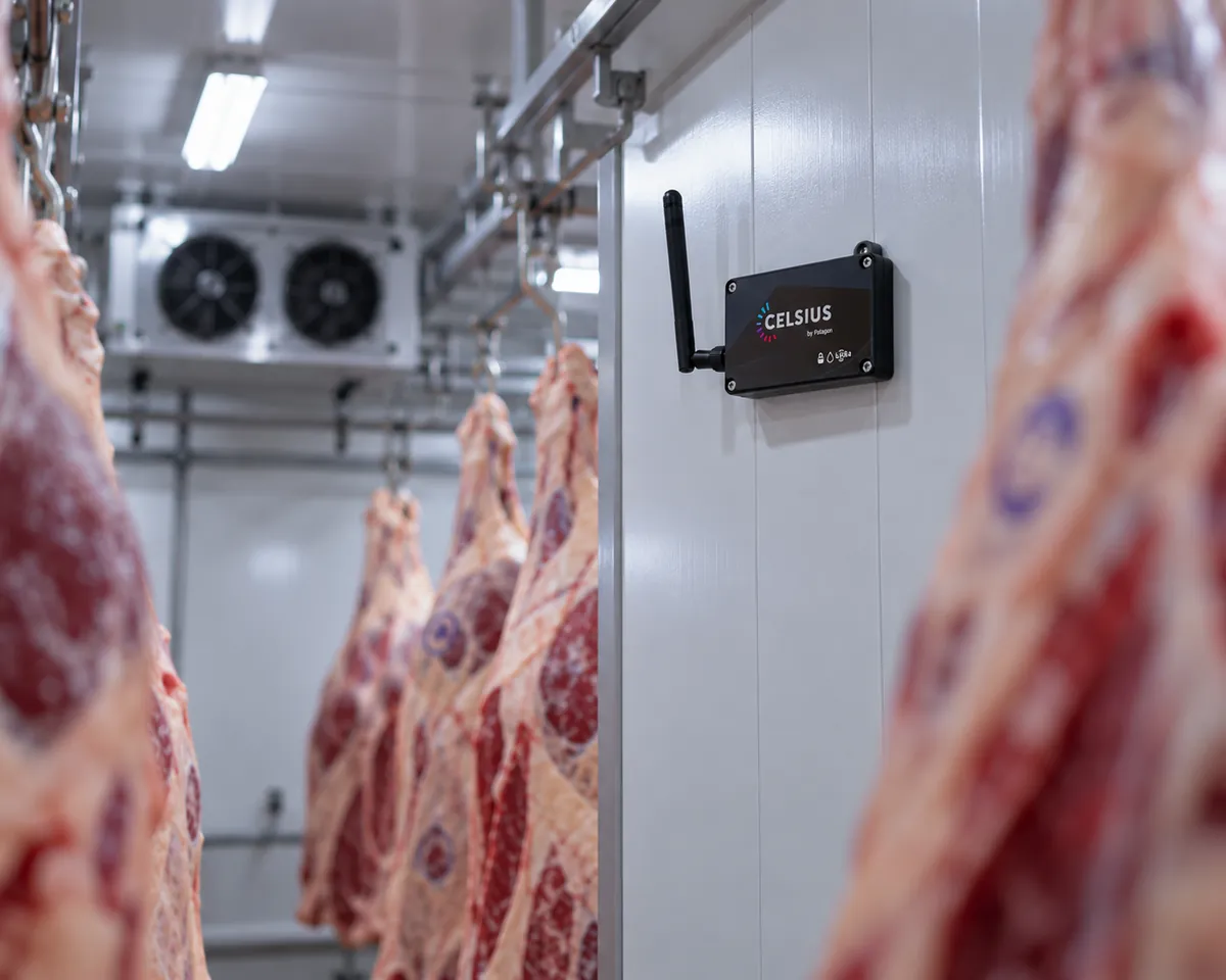 Cámara frigorífica con sensores de temperatura CELSIUS